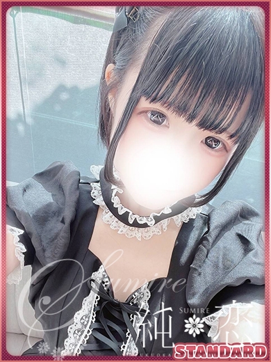 ぽむ　STANDARD